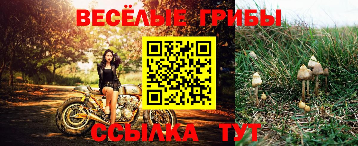 Псилоцибиновые грибы ЛСД  Вход с VPN  Сланцы 