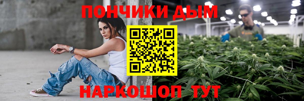 Каннабис гибрид  Вход с VPN  Канабис планчик  Марихуана гибрид  Бошки марихуана сатива  Сланцы 